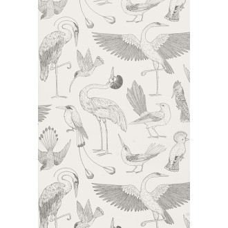 Off-white - Birds Wallpaper...