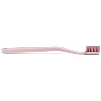 SOLD OUT - rose - Tann toothbrush