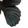 Papilio memnon, mâle