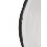 dark chrome - large Pond mirror - W63,5 x H110 x D1,5 cm