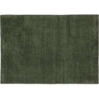 300x400cm - vert mousse - tapis Persian Colors