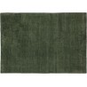 250x350cm - vert mousse - tapis Persian Colors