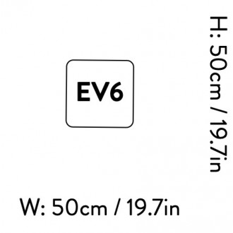 EV6 – 50 x 50 cm - medium - pillow - Develius